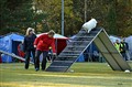 DSC_6291K.JPG