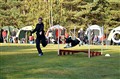DSC_6337K.JPG