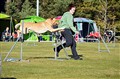 DSC_6439K.JPG