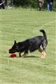 IMG_1159_redigerad-1.jpg
