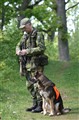 IMG_1184_redigerad-1.jpg
