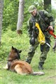 IMG_1190_redigerad-1.jpg