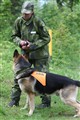 IMG_1203_redigerad-1.jpg