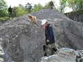 SDC10098.JPG