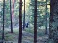sökutb5.jpg